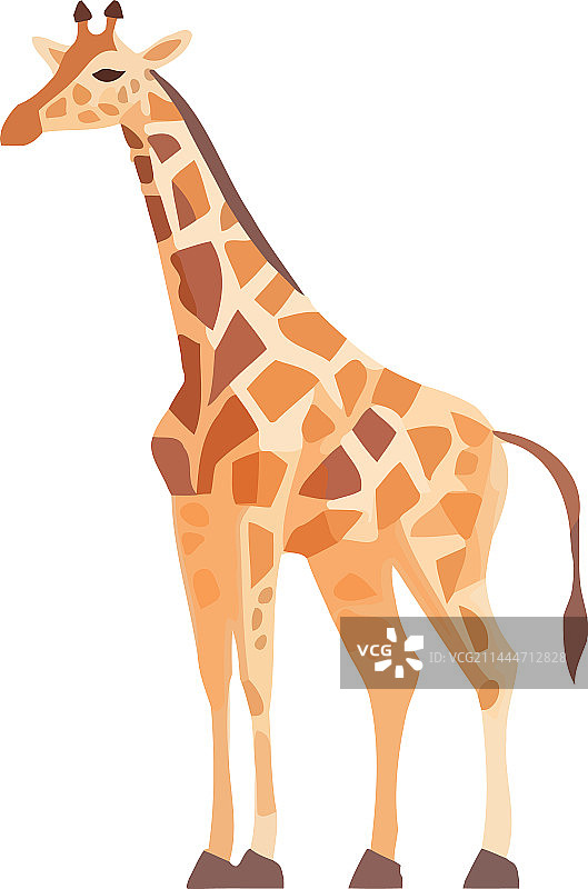 站在白色背景上的可爱长颈鹿图片素材
