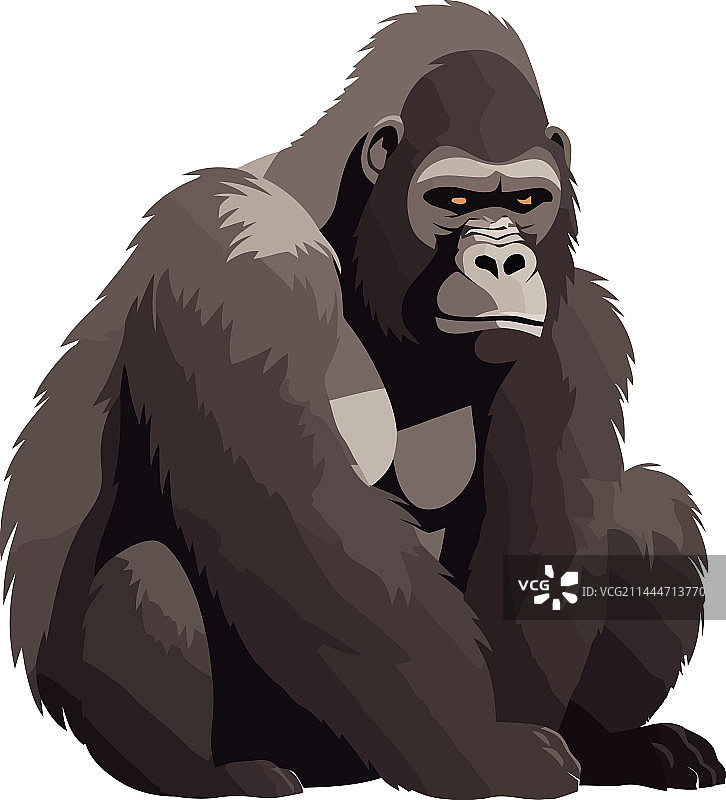 坐在热带雨林中的大型灵长类动物图片素材