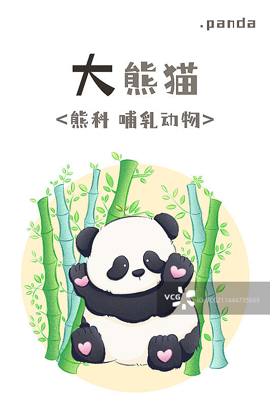 熊猫图片素材