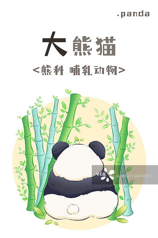 熊猫图片素材