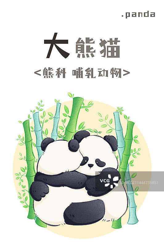 熊猫图片素材
