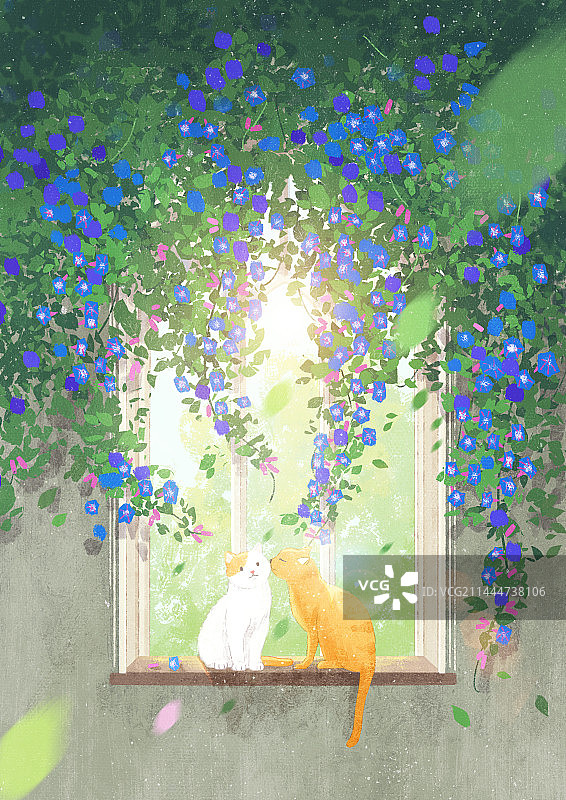 小清新插画节气夏天牵牛墙花窗户猫情侣亲吻爱情情人节图片素材