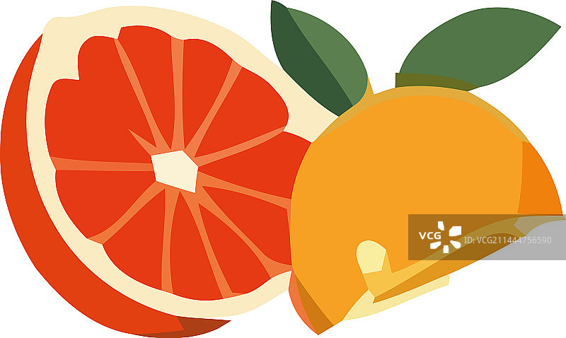 新鲜柑橘切片：葡萄柚和橙子图片素材
