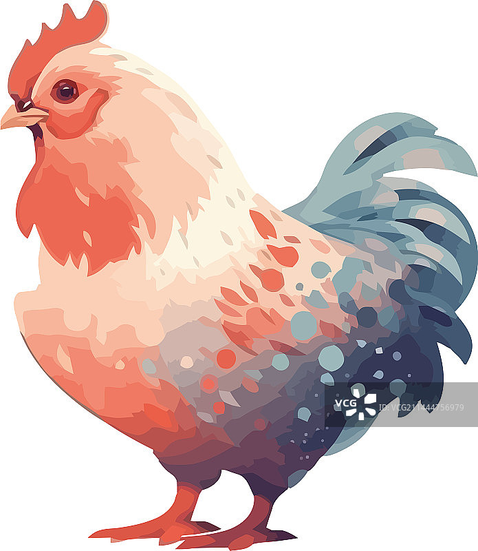 站立的打鸣公鸡图片素材