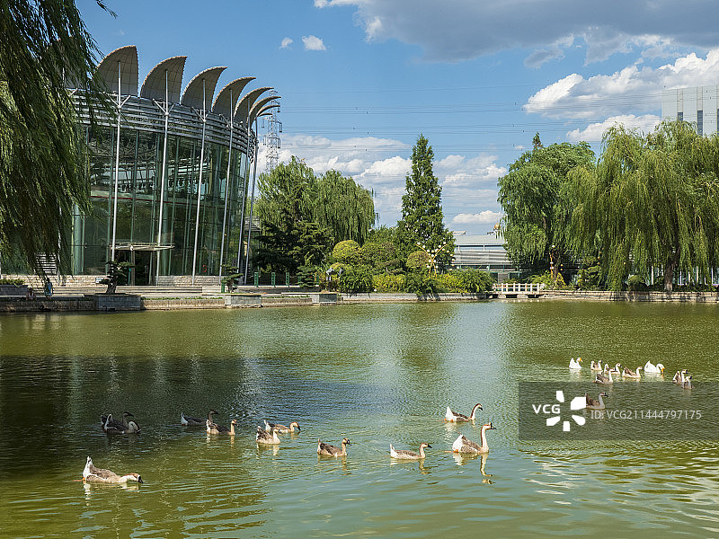 北京花卉大观园图片素材