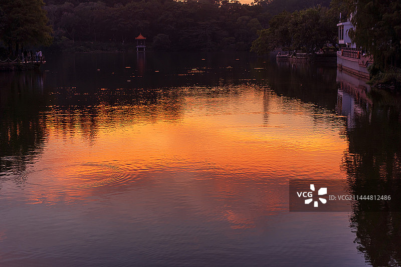 深圳仙湖植物园日落夕阳映射在水面上波光粼粼图片素材