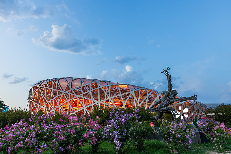 鸟巢和花木图片素材