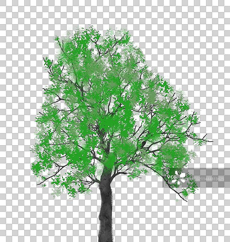 绿色树素材图片素材