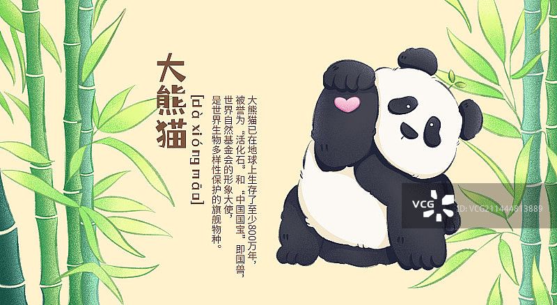 大熊猫图片素材