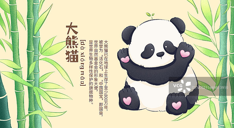 大熊猫图片素材