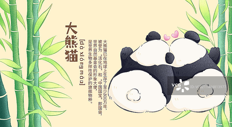 大熊猫图片素材