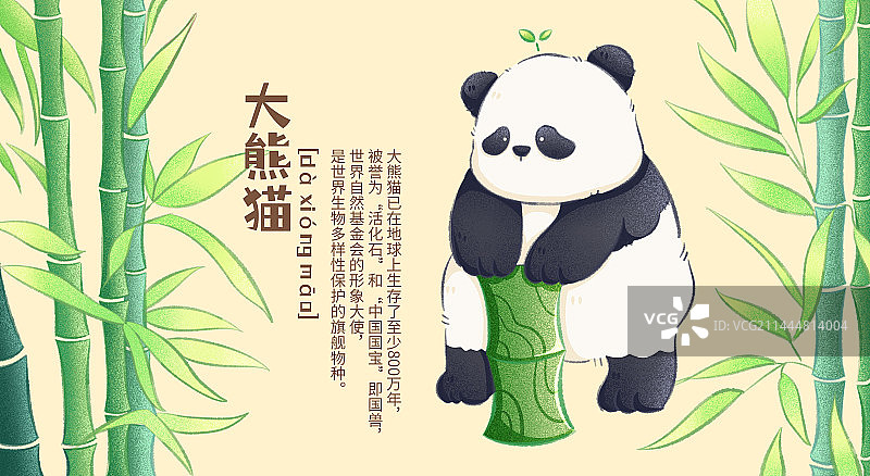 大熊猫图片素材