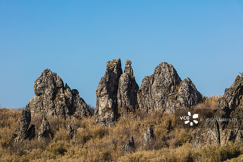 湖北神农架林区神农顶景区板壁岩，蓝天背景下高山石林怪石嶙峋，像骆驼像屏风矗立图片素材