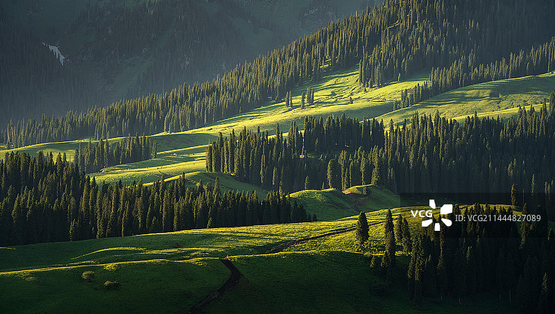 恰西光影图片素材