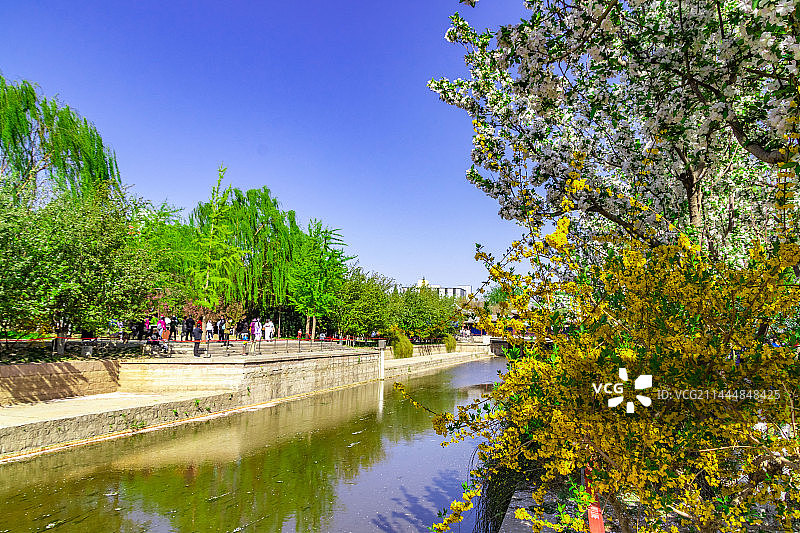 元大都遗址公园-海棠花图片素材