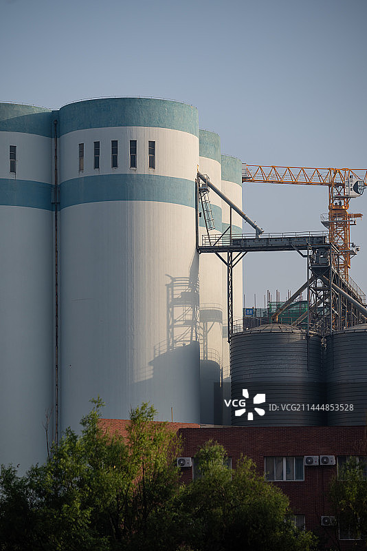 辽宁大连中粮大麦筒仓图片素材