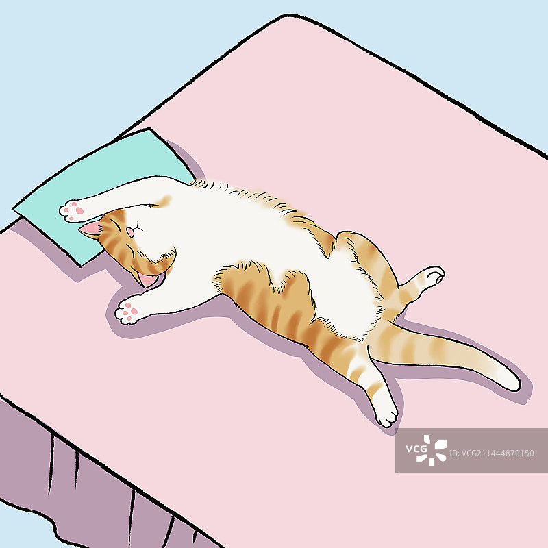 睡懒觉的橘猫图片素材