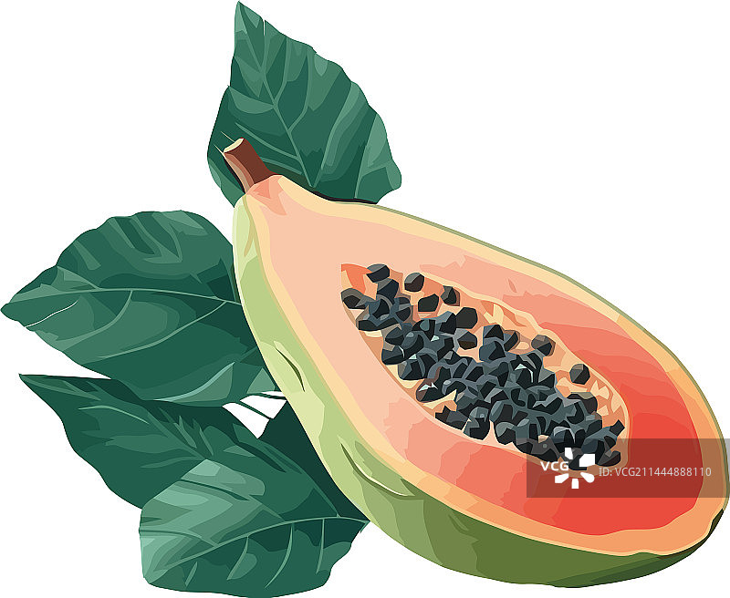 新鲜多汁的成熟木瓜切片图片素材