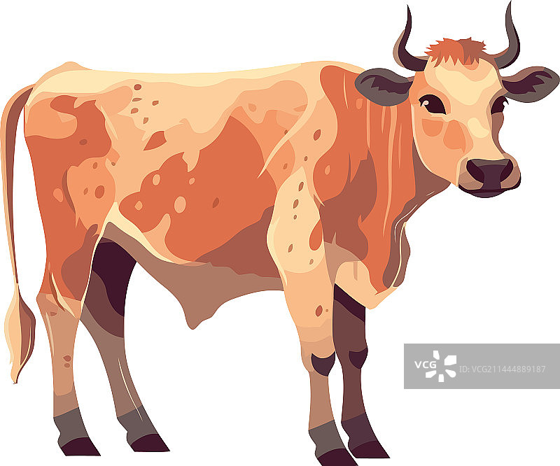 站立的奶牛农场动物图片素材