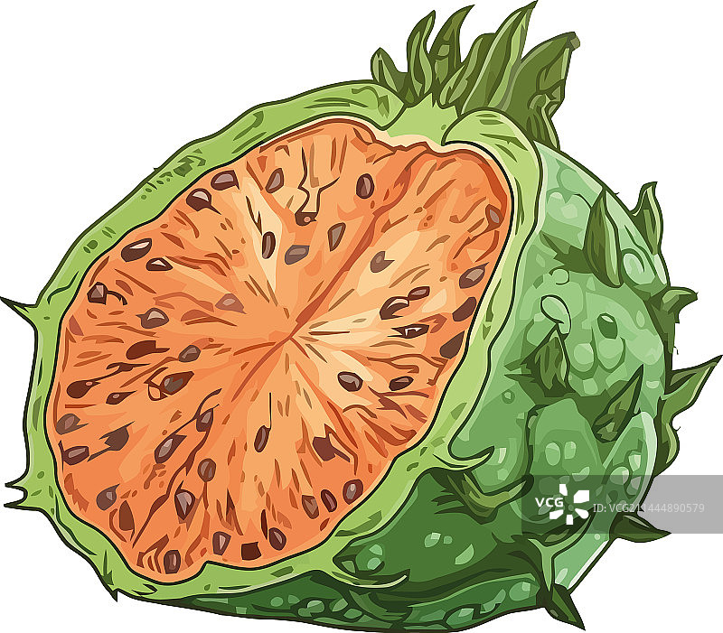 热带异域水果果冻甜瓜图片素材