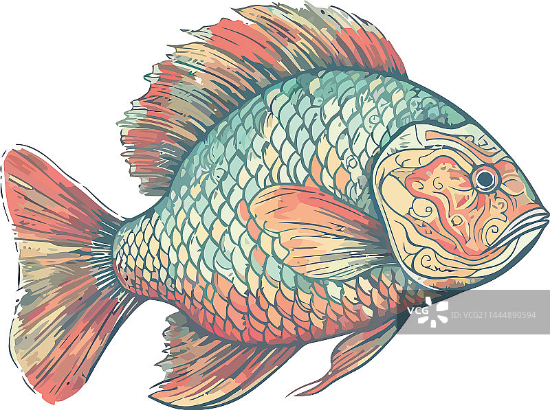 热带水下鱼群游动图片素材