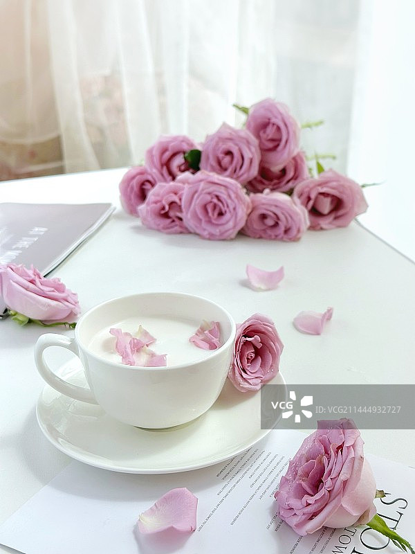 玫瑰时光图片素材