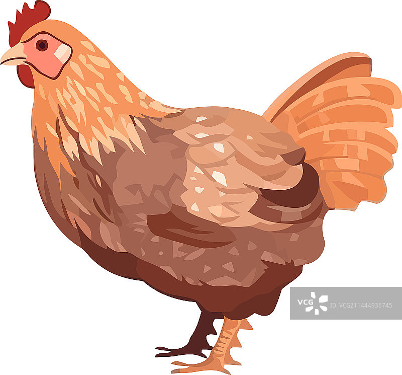 可爱的黄色小鸡站立图片素材