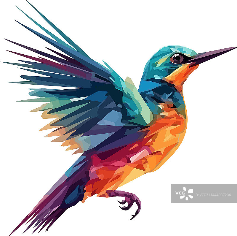 鲜艳的蜂鸟栖息图片素材