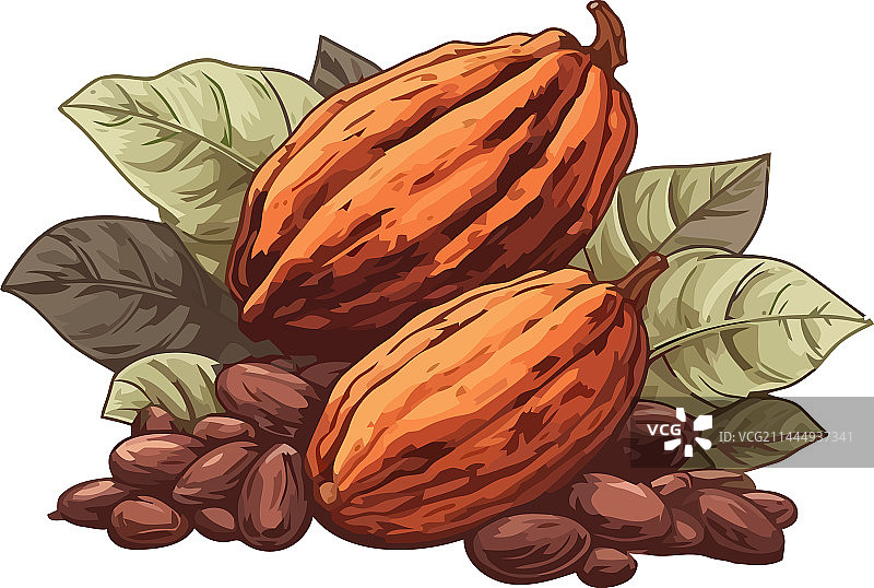 新鲜的有机杏仁小吃，健康茶点图片素材