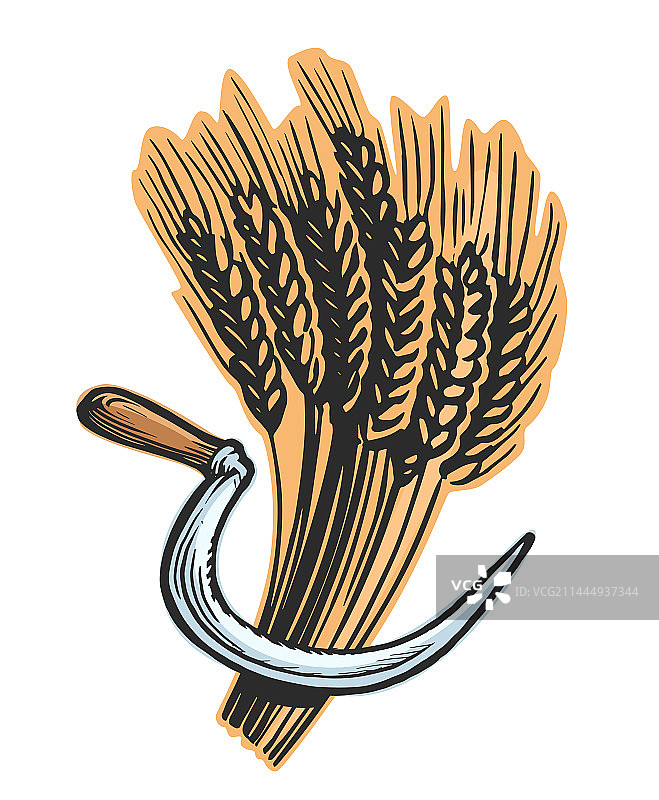 麦田收割场景：有机食品与面包坊图片素材