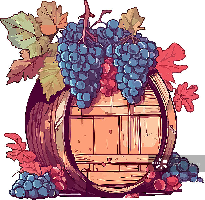 酿酒季的成熟葡萄图片素材