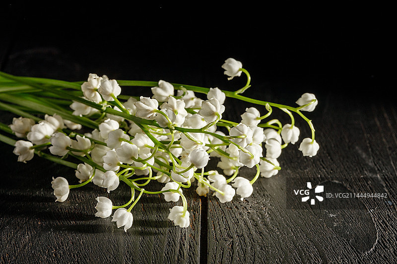 铃兰的花语是等待幸福和爱情的到来。在不同的文化中，铃兰代表着图片素材