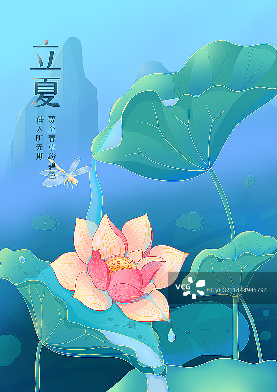 立夏荷花 夏天图片素材