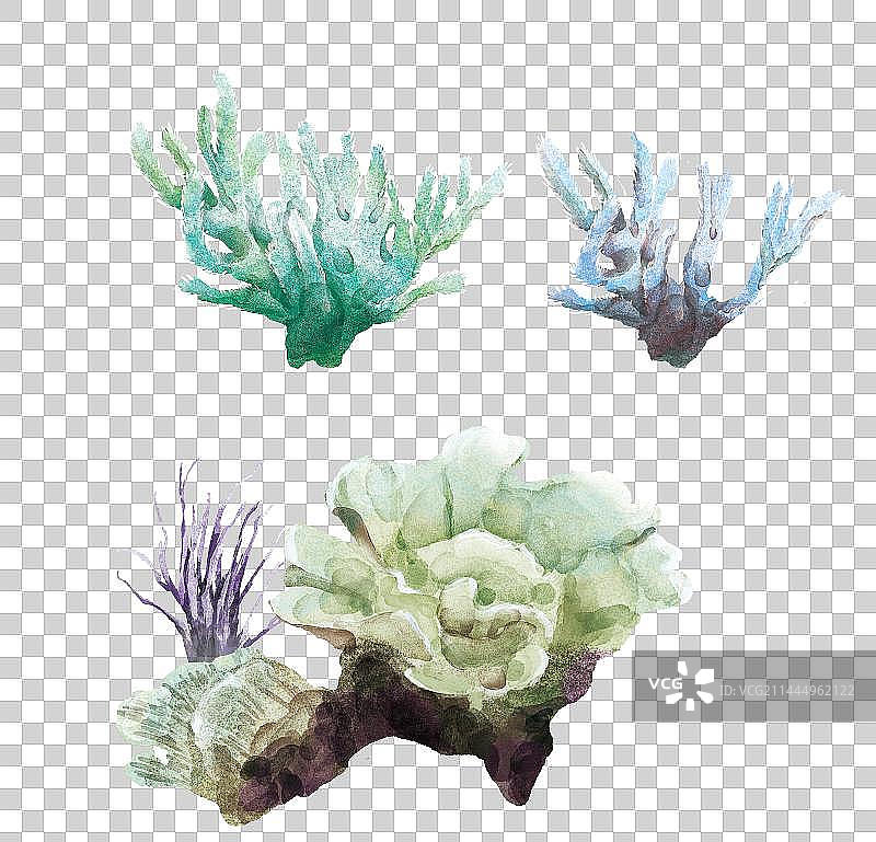 海洋植物手绘素材图片素材
