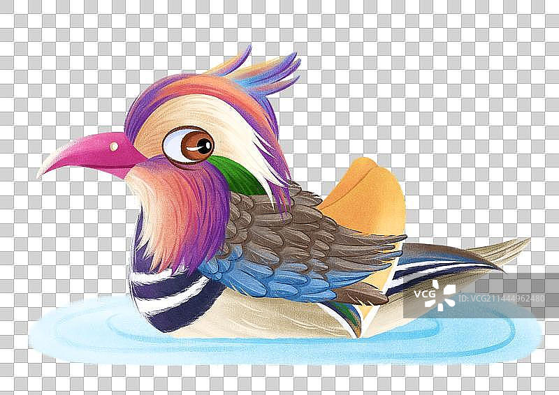 一只正在戏水的雄鸳鸯图片素材