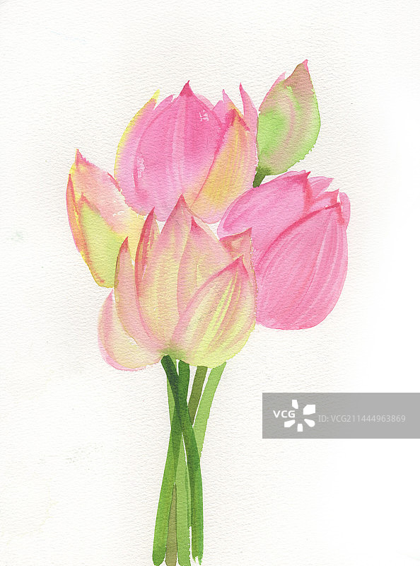 水彩手绘荷花花束单枝荷花荷花花苞插画插图图片素材