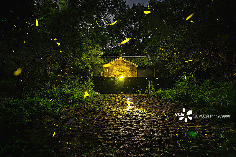 夏日夜色中志公殿旁飞舞的流萤（萤火虫）+灵谷寺（南京）图片素材
