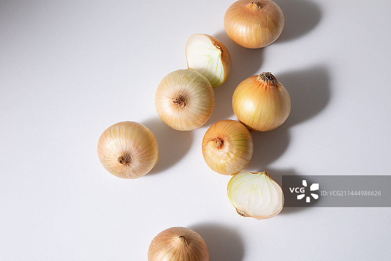 洋葱图片素材