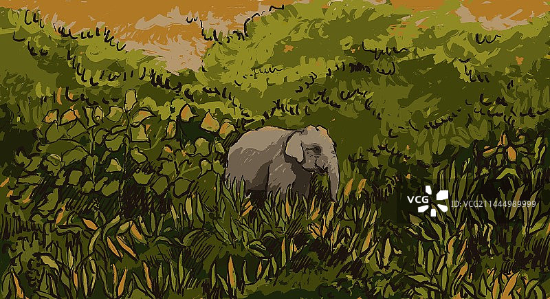 我们爱大象，大象也会爱我们图片素材