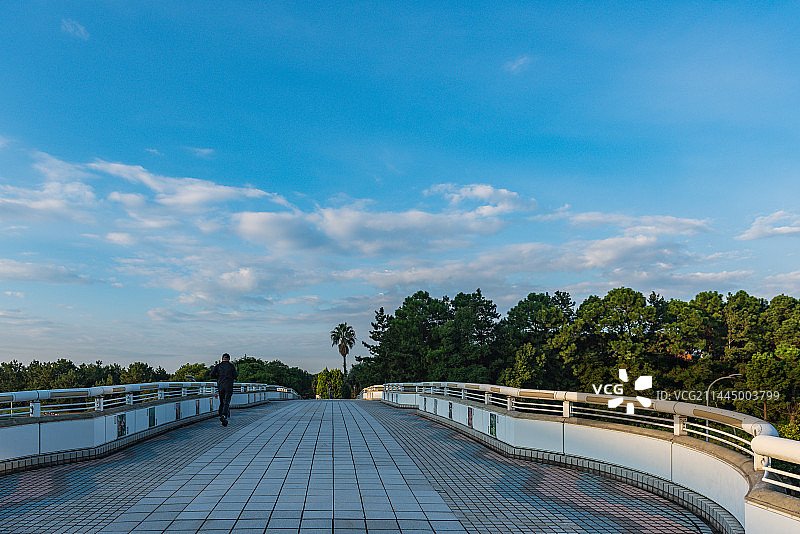 日本东京千叶的清晨图片素材
