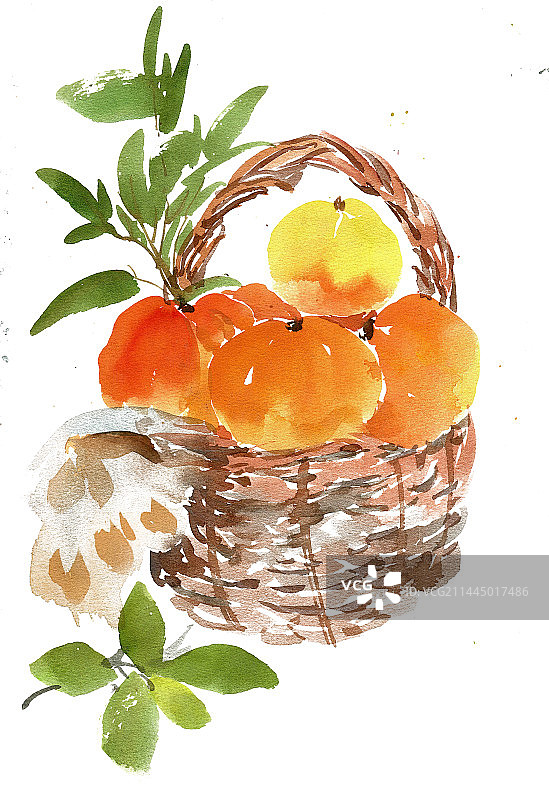 篮子里的桔子图片素材