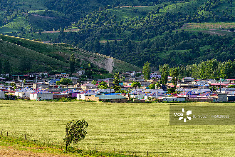 风吹过的地方（新疆伊犁哈萨克族村庄）图片素材