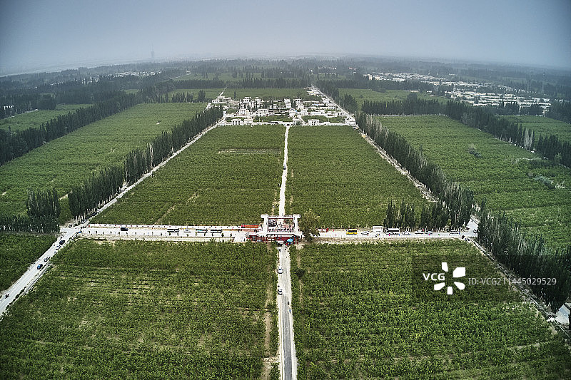 新疆若羌县红枣林航拍图片素材