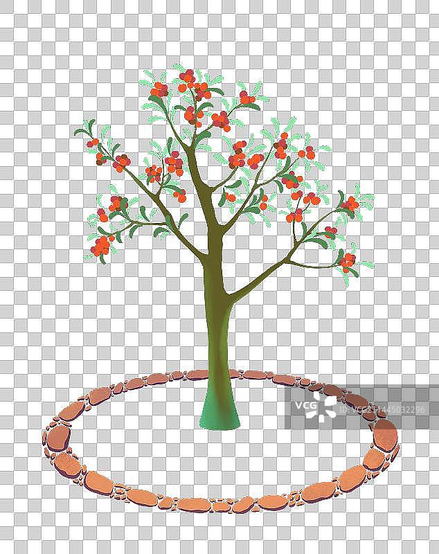 一棵结满红色果实的树图片素材