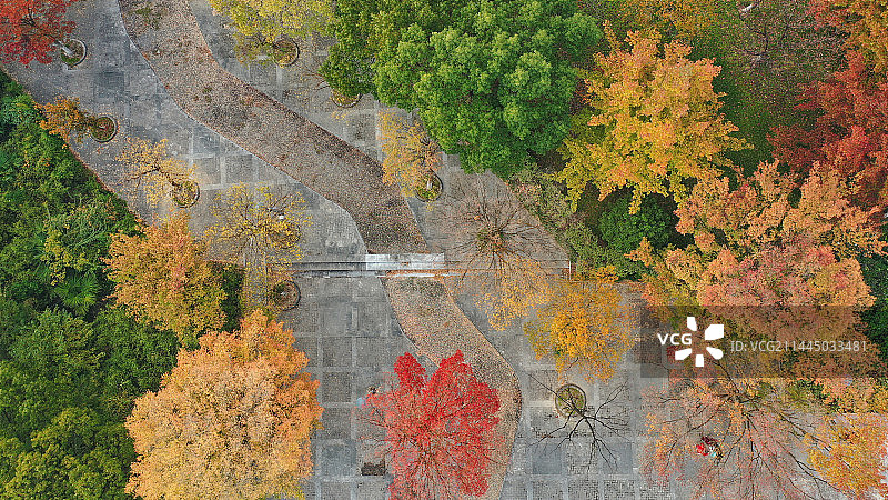 长兴秋色图片素材