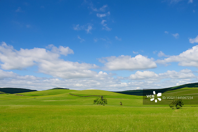 夏季绿色的景色图片素材