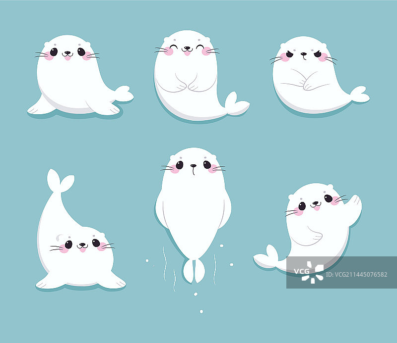 可爱的白色毛皮海豹游泳和微笑图片素材