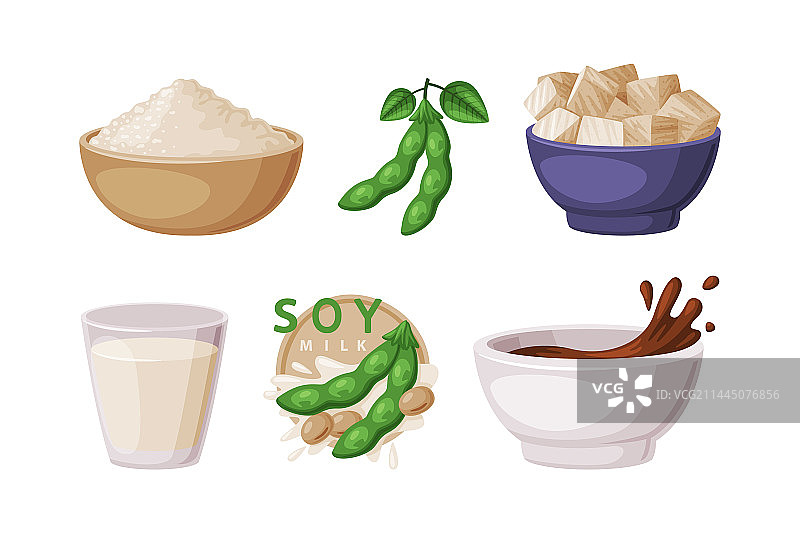 大豆植物制成的天然大豆制品套装图片素材