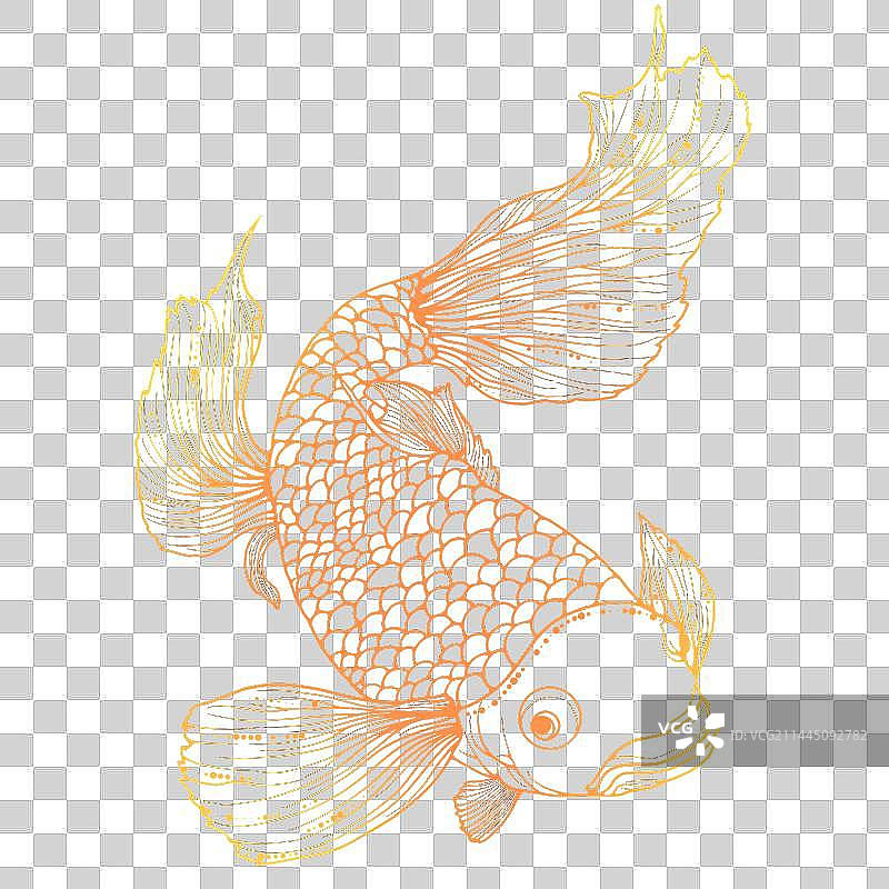 线稿风锦鲤图片素材