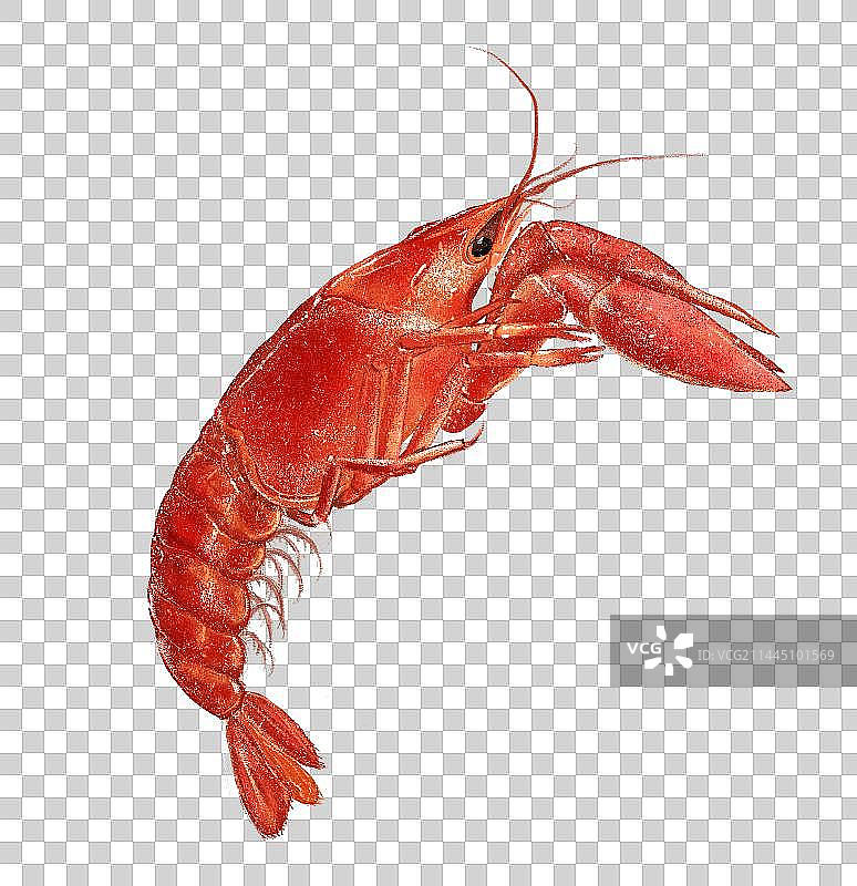 小龙虾元素图片素材